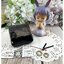 ชุดเครื่องนาฬิกา QUARTZ สำหรับงาน DIY พร้อมเข็มนาฬิกา แบบที่ 2 เรียบ สั้น