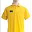 โปโลสีเหลือง DNP(สีเขียว)(Pre-Order)