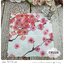 กระดาษแนปกิ้น, ลายดอกซากูระพื้นหลังสีขาว, ลายดอกซากูระสีชมพู, ลายดอกไม้, ลายดอกไม้สีชมพู, ลายสไตล์ญี่ปุ่น, ลายกิ่งดอกไม้, พื้นหลังสีขาว, ลายเต็มผืน, ลายช่อดอกไม้