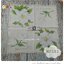 กระดาษแนปกิ้นยุโรป ลายดอกไม้, ลายดอกแมกโนเลีย, ลายดอกไม้สีขาว, พื้นหลังสีครีม, มีตัวอักษรภาษาอังกฤษ