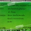 ครีมเรเดียนซ์ ครีมน้ำนมชาเขียว ขนาด 20g. Rediance White Spa Milk Green Tea