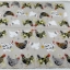 กระดาษแนปกิ้น ลายไก่หลายตัว ลายไก่ลาย ลายแม่ไก่ พื้นหลังสีเทาอ่อน Spatter Hens Linen