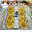 กระดาษแนปกิ้นยุโรป, ขนาด 25*25 ซม., ลายดอกทานตะวันหลายดอก, ลายดอกทานตะวัน, ลายLE TOURNESOL light brown, พื้นหลังสีอ่อน, ลายดอกไม้สีเหลือง