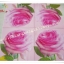 กระดาษแนปกิ้น, ลายดอกกุหลาบ, ลายดอกกุหลาบสีชมพู, พื้นหลังสีชมพูอ่อน, ลายดอกไม้ใหญ่ๆ, ลายดอกกุหลาบใหญ่ๆ