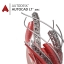 AutoCAD LT 2025 Commercial | for mac (โปรแกรมเขียนแบบ 2 มิติ)