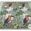 กระดาษแนปกิ้น ลายลายTropicana, Tropicana, ลายนกเงือก, ลายป่าทรอปิคอล, ลายใบไม้,ลายใบไม้สีเขียว, ลายป่า, ลายนกในป่า, ลายใบไม้หลายชนิด