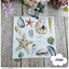 กระดาษแนปกิ้นยุโรป, ลายสัตว์ทะเล, ลายหอย, ลายShells, ลายปลาดาว, ลายหอยหลายแบบ, ลายแนวทะเล, ลายสัตว์, พื้นหลังสีครีมอ่อน, พื้นหลังสีขาว