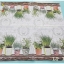 กระดาษแนปกิ้น ลาย Le Jardin De Provence กระถางสมุนไพร พื้นหลังสีขาว