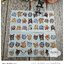 กระดาษแนปกิ้นยุโรป, ลายFunny cats, ลายแมวหลายแบบ, ลายหน้าแมวเล็กๆ, ลายหน้าแมว, พื้นหลังสีขาว