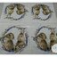 กระดาษแนปกิ้น ลายRabbit Wreath, ลายกระต่าย, ลายกระต่ายคู่, ลายหรีดกระต่าย, ลายกระต่ายคู่รัก, ลายกระต่ายในวงดอกไม้สีม่วง, ลายความรัก, พื้นหลังสีขาว