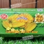 สบู่มะเฟืองผสมน้ำผึ้ง Asantee Carambola & Honey Soap