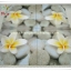 กระดาษแนปกิ้น ลายดอกลีลาวดี ลั่นทมพื้นหลังรูปหินสีน้ำตาล