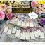 พร้อมส่งทันที! ขายส่งงานดิบพวงกุญแจไม้ สี่เหลี่ยมผืนผ้ายาวด้านบนตัดมุม ทำจากไม้อัดแผ่นบาง 1 ชุด มี 15 ชิ้น (ตัวโลหะที่เป็นตัวห้อย มี 15 สี ไม่ซ้ำกัน สีสวยมาก เป็นพวงกุญแจแบบมีตัวหมุน) เนื้อไม้สีขาวครีมมีรอยบ้างตามธรรมชาติ