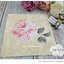 กระดาษแนปกิ้นยุโรป ,ลายดอกไม้สีชมพู, ลายดอกไม้สีหวาน, ลายดอกไม้เดี่ยวๆ, พื้นหลังสีครีม, ลายดอกไม้